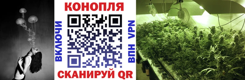 где продают наркотики  Новохопёрск  МАРИХУАНА OG Kush 
